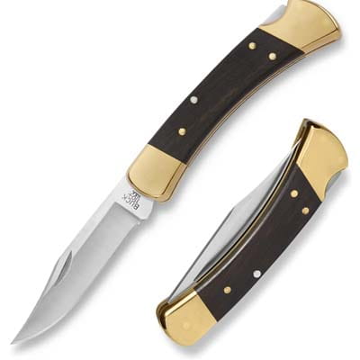Buck Knives 110 Folding Hunter Knife