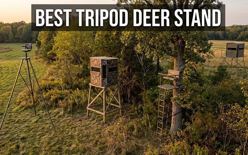 Best Tripod Deer Stands