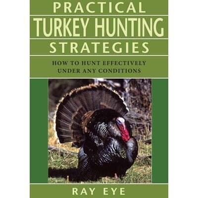 Practical Strategies