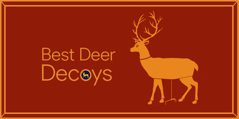 8 Must-Have Deer Decoys for Your Next Hunting Season